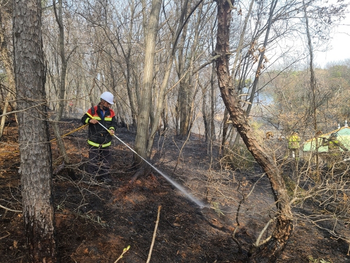 [익산=뉴시스]산림청 제공 *재판매 및 DB 금지