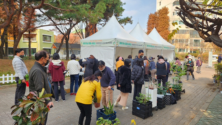 [서울=뉴시스]양천구 반려식물 서비스.(사진=양천구 제공) *재판매 및 DB 금지