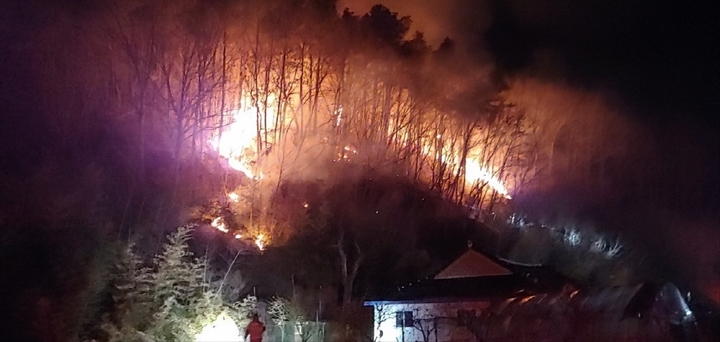 [진안=뉴시스]산림청 제공 *재판매 및 DB 금지