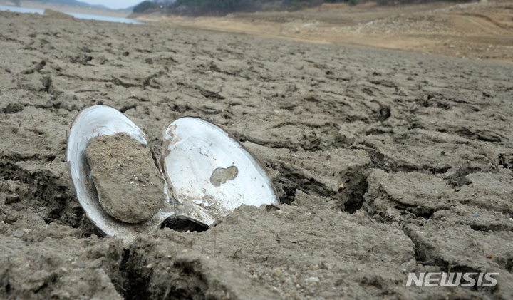 [진안=뉴시스] 김얼 기자 = 전북지역에 비가 내리지 않아 가뭄이 이어지고 있는 22일 전북 진안군 용담댐 상류에 물이 없이 바닥이 드러나 있다. 2023.03.22. pmkeul@nwsis.com