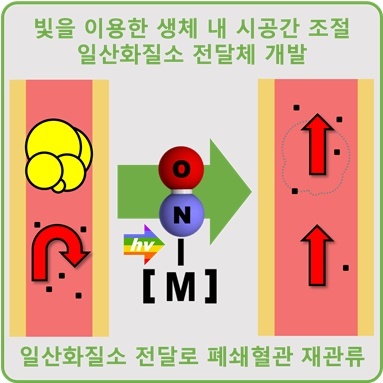 [울산=뉴시스] 시공간적 일산화질소 전달을 통한 혈관폐쇄질환 치료 반응 도식 *재판매 및 DB 금지