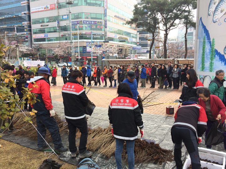 양산국유림관리소, 국토녹화 50주년 나무 나누어주기 행사