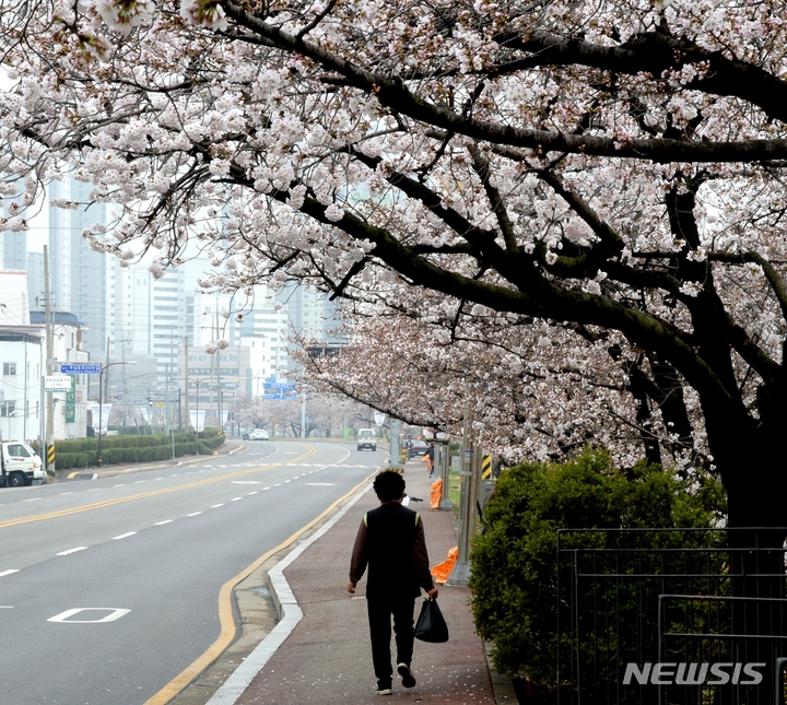 [청주=뉴시스] 조성현 기자 = 봄비가 내린 23일 오전 충북 청주시 상당구 무심천변에서 한 시민이 길을 걷고 있다. 2023.03.23. jsh0128@newsis.com