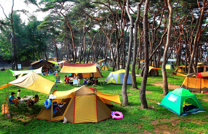 충북 영동군 송호관광지 캠핑장 *재판매 및 DB 금지