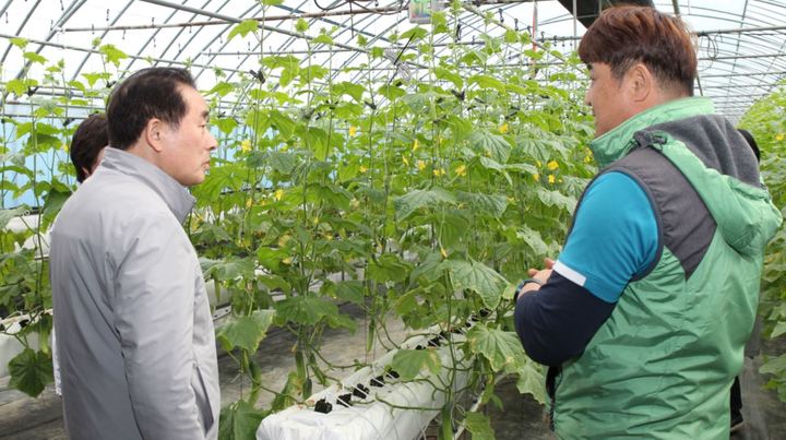 [진천=뉴시스] 강신욱 기자 = 23일 충북 진천군 광혜원면 죽현리 오이 지능형 농장을 방문한 송기섭(왼쪽) 진천군수가 농장주로부터 시설 현황과 생육 상황 설명을 듣고 있다. (사진=진천군 제공) 2023.03.23. photo@newsis.com *재판매 및 DB 금지
