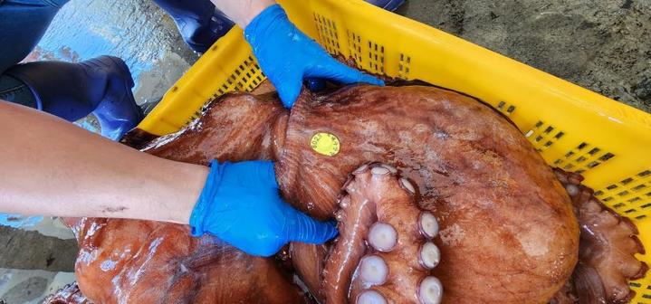 *재판매 및 DB 금지