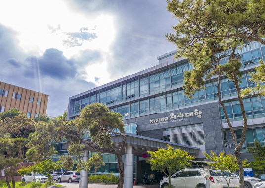 영남대 의과대학 *재판매 및 DB 금지