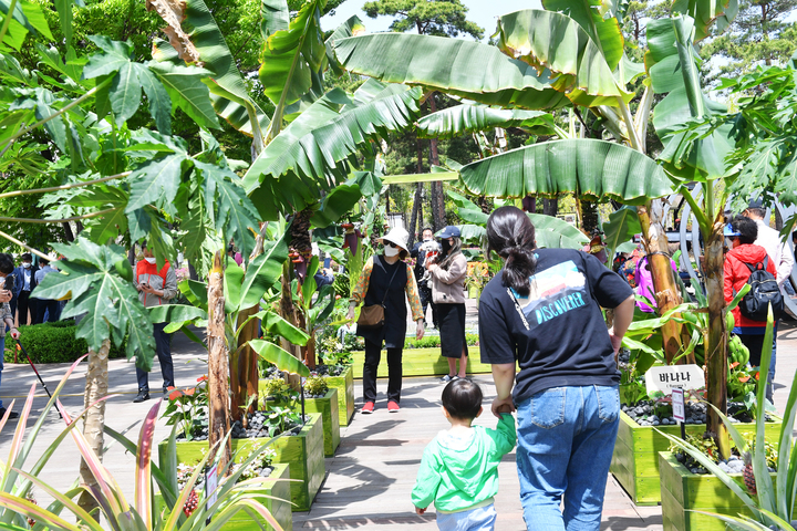 [부산=뉴시스] 2022년 4월 부산시민공원에서 열린 제18회 부산도시농업박람회(사진=부산시 제공) *재판매 및 DB 금지