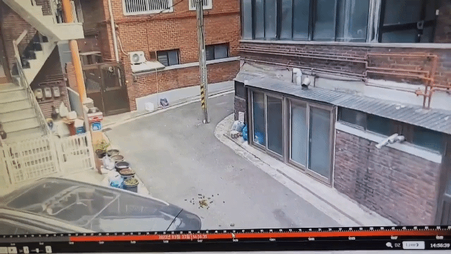 사진 트위터 이용자 Y*** 갈무리