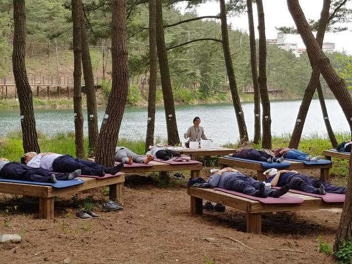 서천군이 27일부터 서천 치유의 숲에서 산림치유프로그램과 문수산 유아숲 체험원을 본격 운영한다. 2023. 03. 24 서천군 *재판매 및 DB 금지