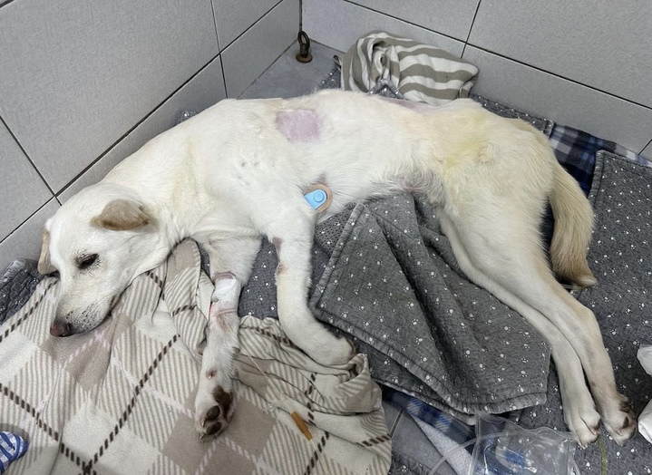 사진 인스타그램 'imzeolmi' 캡처 *재판매 및 DB 금지