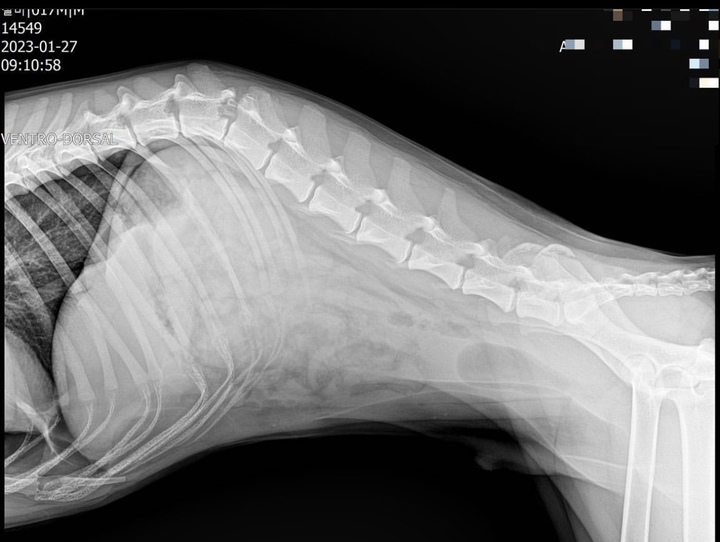 사진 인스타그램 'imzeolmi' 캡처 *재판매 및 DB 금지