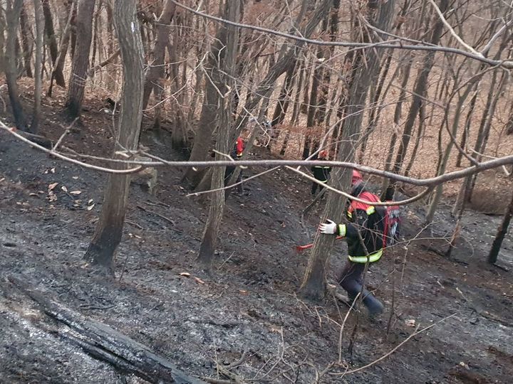 예봉산 산불 발생 현장. (사진=산림청 제공) *재판매 및 DB 금지