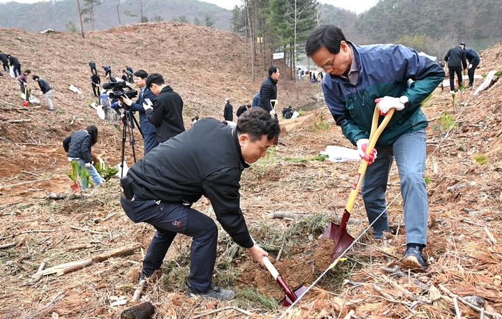[음성=뉴시스] 강신욱 기자 = 조병옥(오른쪽) 충북 음성군수가 24일 금왕읍 육령리 일대에서 공무원, 지역주민 등과 함께 식목 행사로 소나무 묘목을 심고 있다. (사진=음성군 제공) 2023.03.24. photo@newsis.com *재판매 및 DB 금지