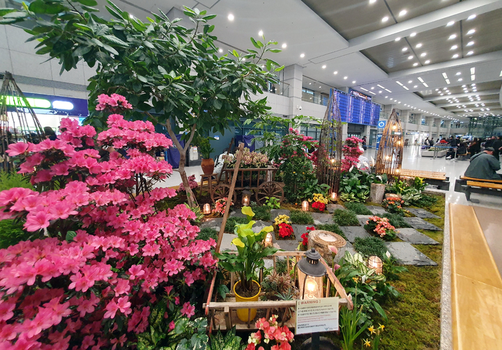 [인천공항=뉴시스] 홍찬선 기자 = 지난 24일 인천공항 제1여객터미널 입국장에 조성된 조경모습. 2023.03.26. mania@newsis.com *재판매 및 DB 금지