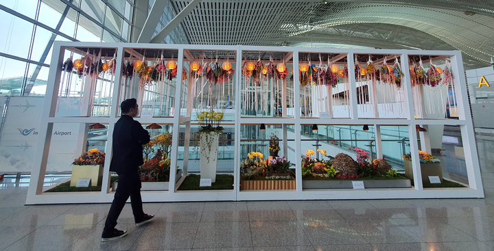 [인천공항=뉴시스] 홍찬선 기자 = 지난 21일 인천공항 제2여객터미널 입국장에 조성된 조경모습. 2023.03.26. mania@newsis.com *재판매 및 DB 금지