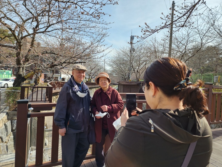 진해 여좌천 *재판매 및 DB 금지