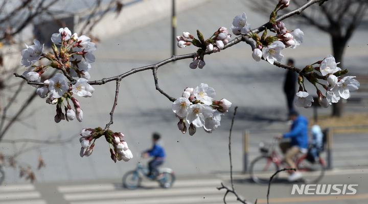전북 낮 15~17도 하늘 맑음…미세먼지는 '나쁨'