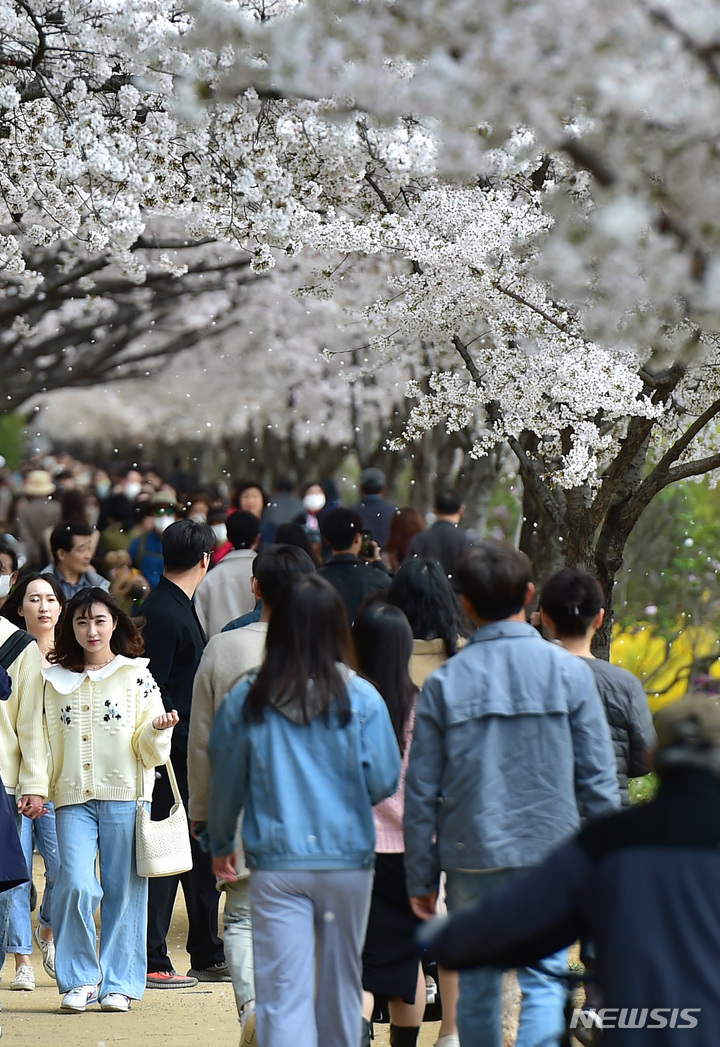 [대구=뉴시스] 이무열 기자 = 26일 오후 대구 동구 금호강변 둔치에서 시민들이 벚꽃길을 산책하고 있다. 2023.03.26. lmy@newsis.com