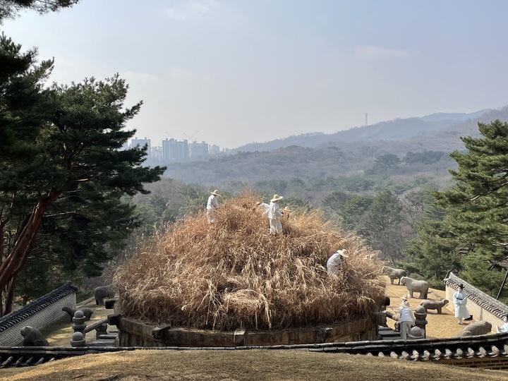 [서울=뉴시스] 2022년 건원릉 예초의 거행 모습 (사진=문화재청 제공) 2023.03.27. photo@newsis.com *재판매 및 DB 금지