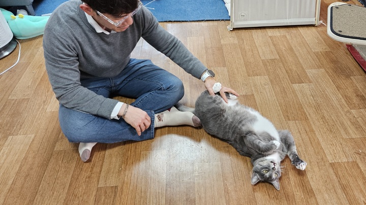 [서울=뉴시스] 강운지 리포터 = 유튜브 채널 '아리랑은 고양이 내가 주인'의 운영자 남기형씨가 자택에서 반려묘 '리랑'과 함께하고 있다. 2023.03.22. kuj0102@newsis.com *재판매 및 DB 금지