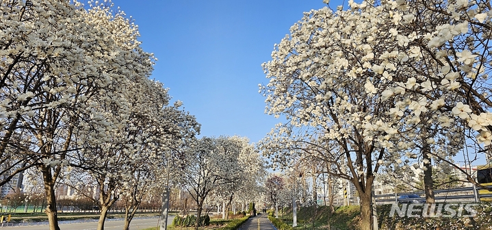 일교차 큰 충북 오후부터 맑아져…낮 최고 18도