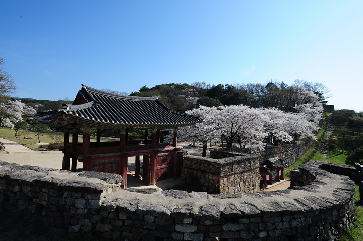고창읍성의 봄 풍경. *재판매 및 DB 금지