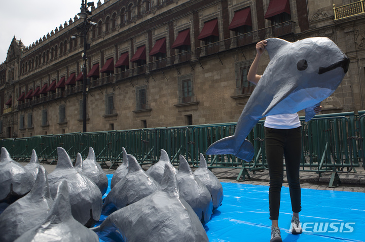 [멕시코시티=AP/뉴시스] 멕시코의 멸종위기종 바키타돌고래의 보호를 위한 시위대의 한 여성이 2017년 7월 8일 대통령궁 앞에서 종이로 만든 바키타 인형을 들고 정부의 보호대책을 요구하고 있다.&nbsp;&nbsp; 
