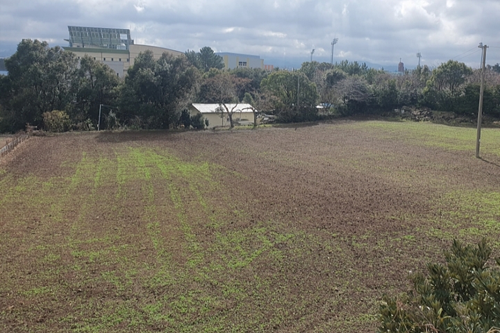[제주=뉴시스] 제주도가 고향사랑기부금을 이용해 조성할 제주시 사라봉공원 구역 내 '고향사랑 기부 숲' 예정지. (사진=제주도 제공) 2023.03.28. photo@newsis.com *재판매 및 DB 금지