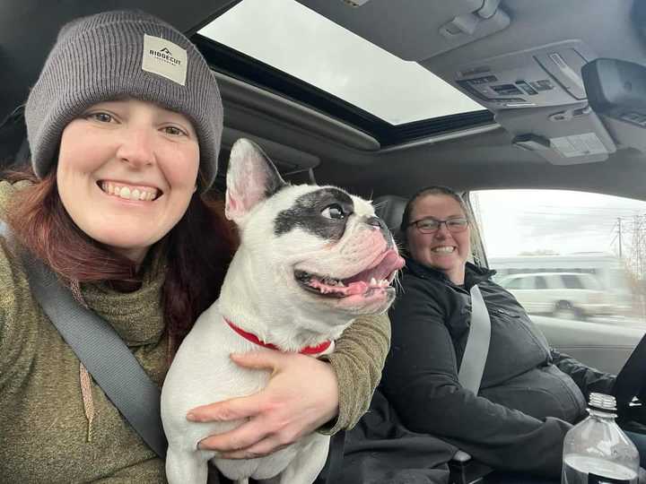 [서울=뉴시스] 미국 동물보호단체 나이아가라 SPCA는 '악마견' 프렌치 불독 랄피의 네 번째 입양 공고를 지난 3일(현지시간) 올렸다. 700 대 1이 넘는 경쟁률을 뚫고 강아지 훈련사 제이슨이 랄피를 입양했다. 위 사진은 동물보호단체 직원들과 드라이브를 즐기는 랄피의 모습(사진출처 : 페이스북 '나이아가라 SPCA' 갈무리)2023.03.28&nbsp; *재판매 및 DB 금지