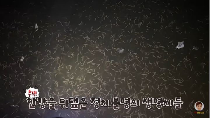 (캡처=유튜브) *재판매 및 DB 금지