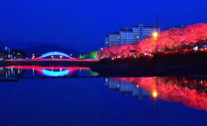 야간경관조명과 어우러진 순창군 경천변 벚꽃길. *재판매 및 DB 금지
