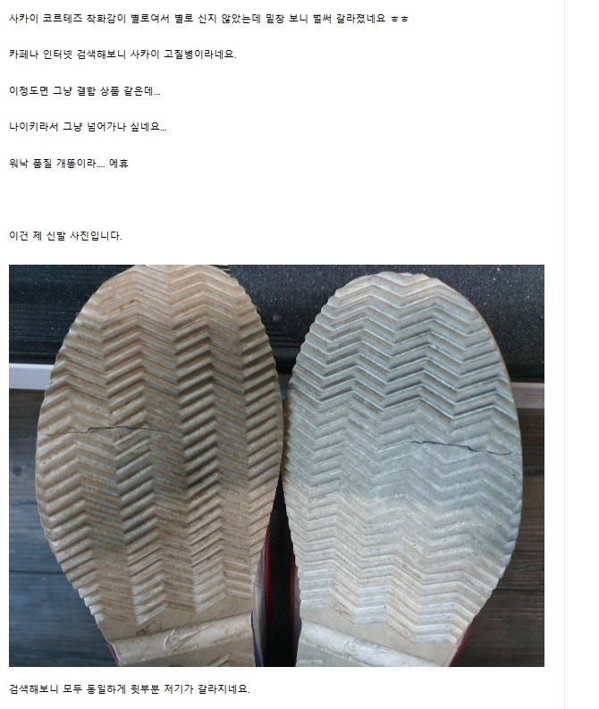 한 소비자가 온라인 커뮤니티에 게재한 글 캡쳐 *재판매 및 DB 금지