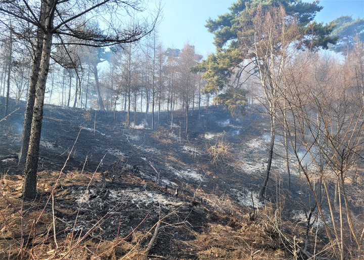 소초면 교항리 산불 피해 현장. *재판매 및 DB 금지