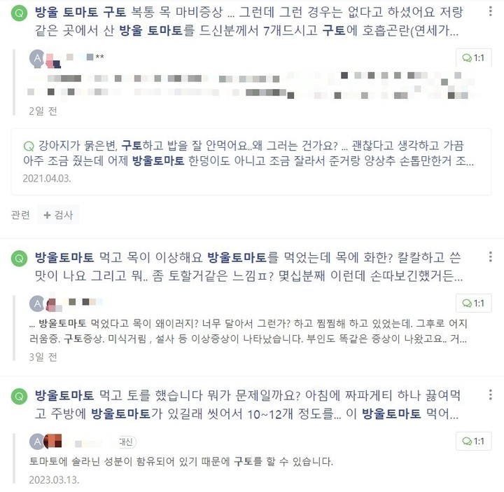 [서울=뉴시스] 29일 뉴시스 취재에 따르면 최근 온라인 포털을 중심으로 방울토마토를 먹고 구토를 했다는 등의 사례 글이 잇따라 올라오고 있다. (사진=네이버 지식인 캡처. 재판매 금지) *재판매 및 DB 금지