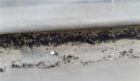 [청주=뉴시스] 비닐하우스에 내려앉은 타이어 화재 분진. 박완희 의원 제공 *재판매 및 DB 금지