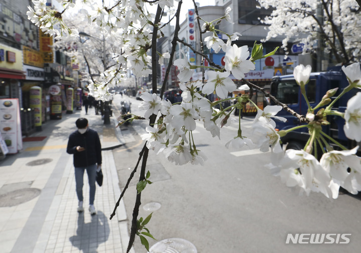 [서울=뉴시스] 김근수 기자 = 따뜻한 날씨를 보인 29일 오후 서울 종로구 벚꽃이 활짝 핀 송해길에서 한 시민이 지나가고 있다. 2023.03.29. ks@newsis.com