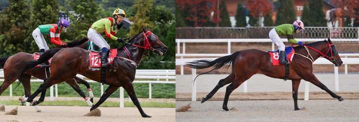  *재판매 및 DB 금지