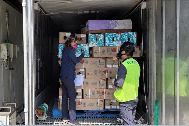 [세종=뉴시스] 수입 화훼류 소독. (사진=농림축산검역본부 제공) *재판매 및 DB 금지