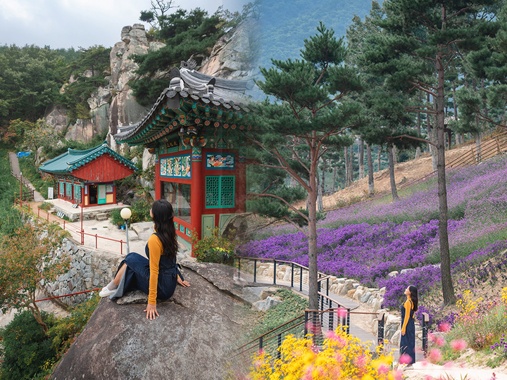 [산청=뉴시스] 정취암과 동의보감촌 *재판매 및 DB 금지