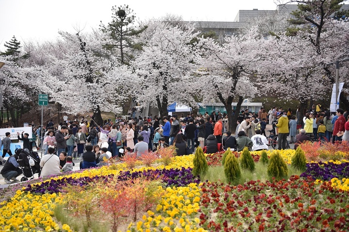 2019년 봄꽃축제 *재판매 및 DB 금지