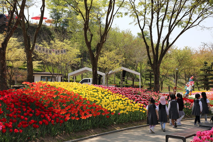 대전오월드 *재판매 및 DB 금지