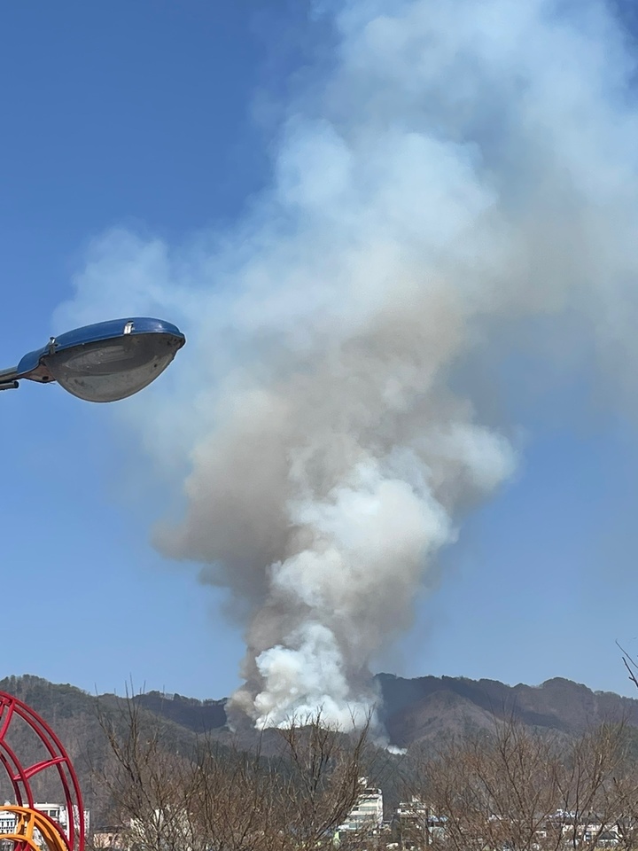 산림청 체공 *재판매 및 DB 금지