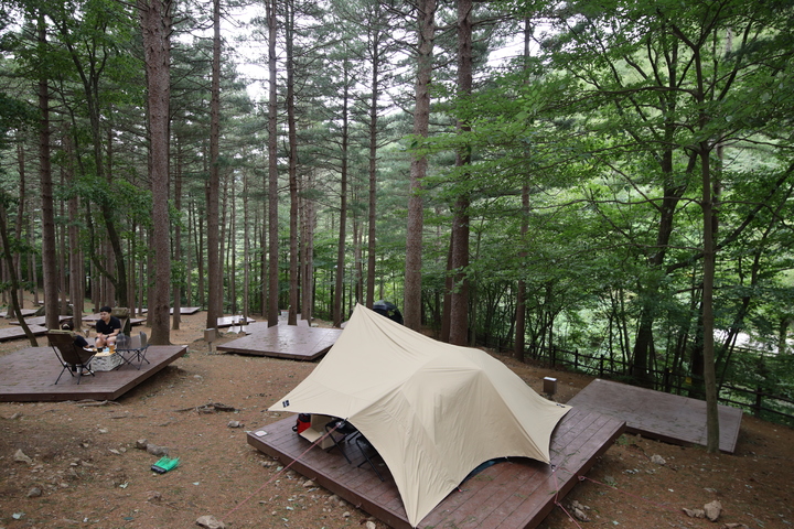 [무주=뉴시스]최정규 기자 = 무주군 덕유산자연휴양림. *재판매 및 DB 금지