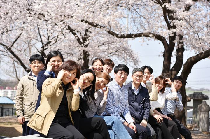 창녕 '벚꽃 명소' 만옥정공원 만개…상춘객 유혹