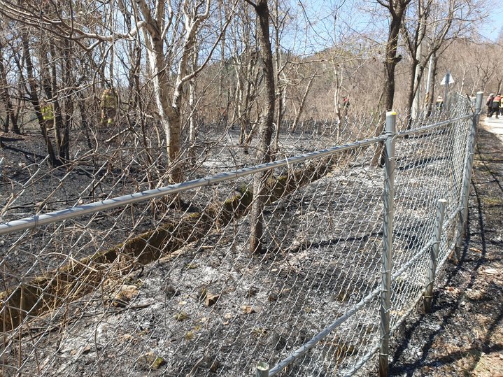 가평 산불 발생 현장. (사진=산림청 제공) *재판매 및 DB 금지 *재판매 및 DB 금지