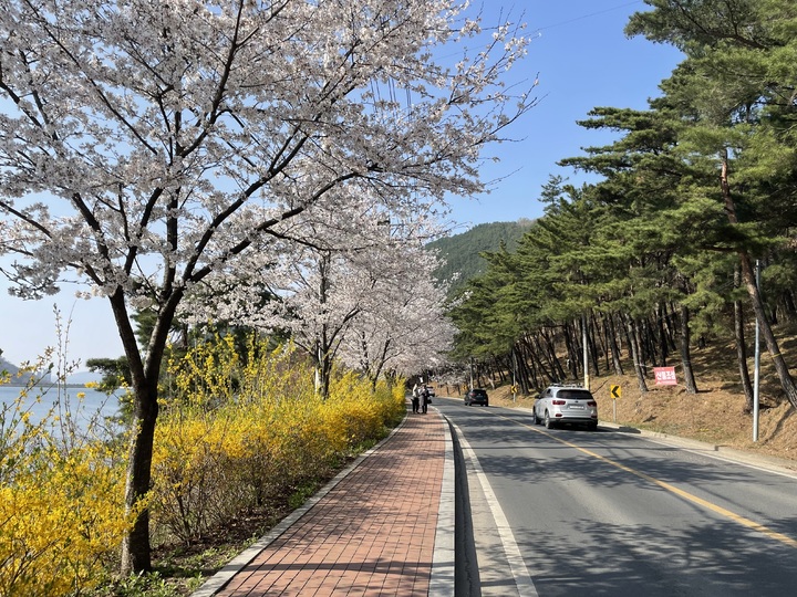 [대구=뉴시스] 달성군 옥연지 송해공원 둘레길 *재판매 및 DB 금지