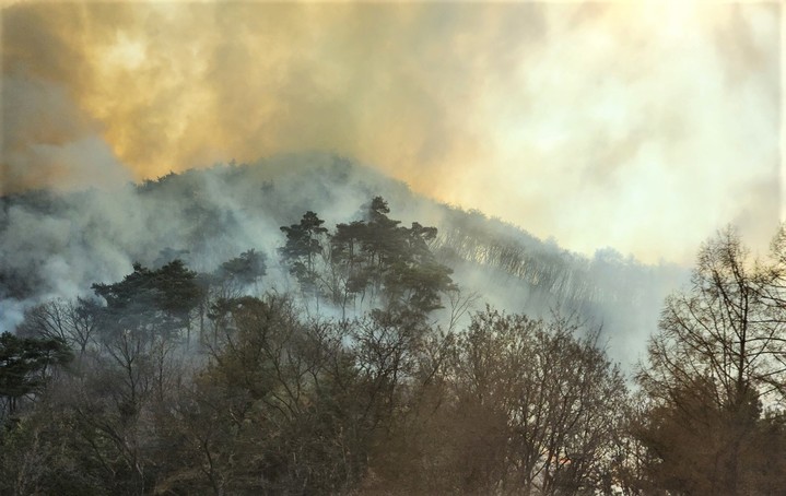 제천 봉황산 산불 바람에 확산…'산불 1단계' 발령(2보)