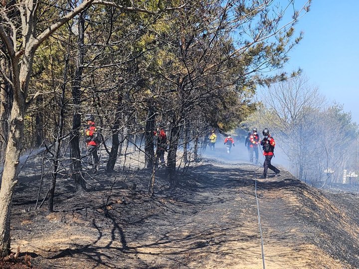 평창군 진부면 산불, 50분 만에 주불 잡았다