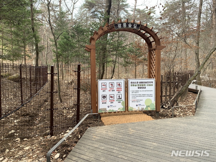 광릉숲 오솔길. (사진=국립수목원 제공)